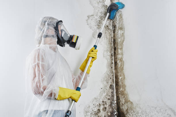 Best Residential Mold Inspection & Testing  in Bargersville, IN